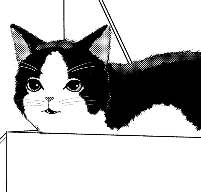 これはいつも小さいコマになってしまうネコちゃんのドアップ(今回も小さい) 