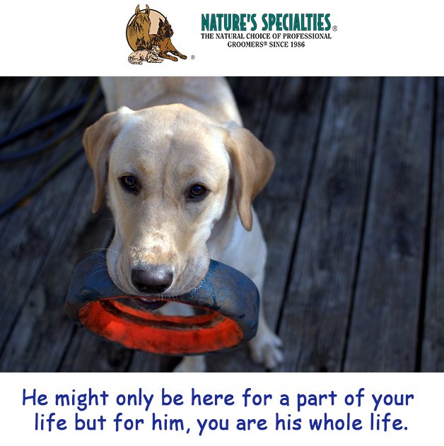 See all of our Products: naturesspecialtiesmfg.com 
#NaturesSpecialties #PetProducts #PetCare #Pets #PetSupplies #Groomers #DogsAndCats