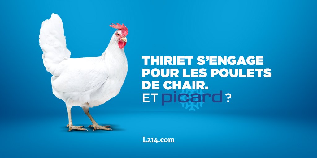 L214 éthique & animaux tweet media