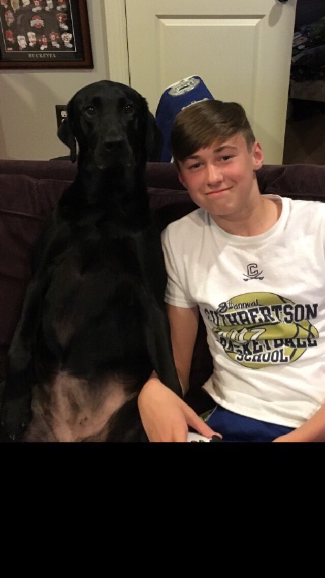 lunaclover5's tweet photo. This is my boy. We are in love. And I don’t care what any of you people have to say about it. #loveislove #dogsoftwitter #dogcelebration https://t.co/Ofj0v6oooa
