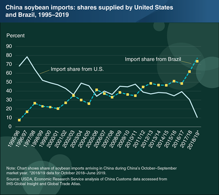 China soybean imports: shares supplied by United States and Brazil, 1995-2019