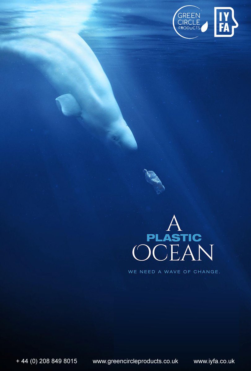 iYFALondon's tweet photo. The Biggest Threat to our Oceans is the belief that someone else will save it. #SaveOceans #SaveOurPlanet
#SaveThePlanet #PlasticFreeWembley #PlasticFree #SayNoPlasticUse #MondayMotivation @aplastic_planet @SAPlastic2018 @lillyspickup @SkyOceanRescue @plastextract https://t.co/EOhYDkxof5