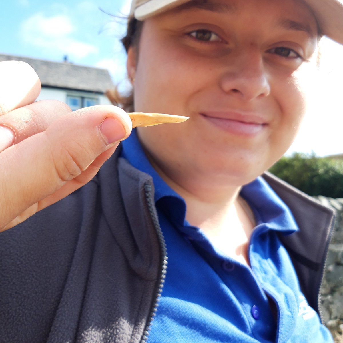 islayheritage's tweet photo. #dunyvaigdig #scotlanddigs2019 Zoe (finder of the Campbell seal last year) has found a carved bone point in trench 1. Could be Mesolithic! https://t.co/BZfe5ftTMk