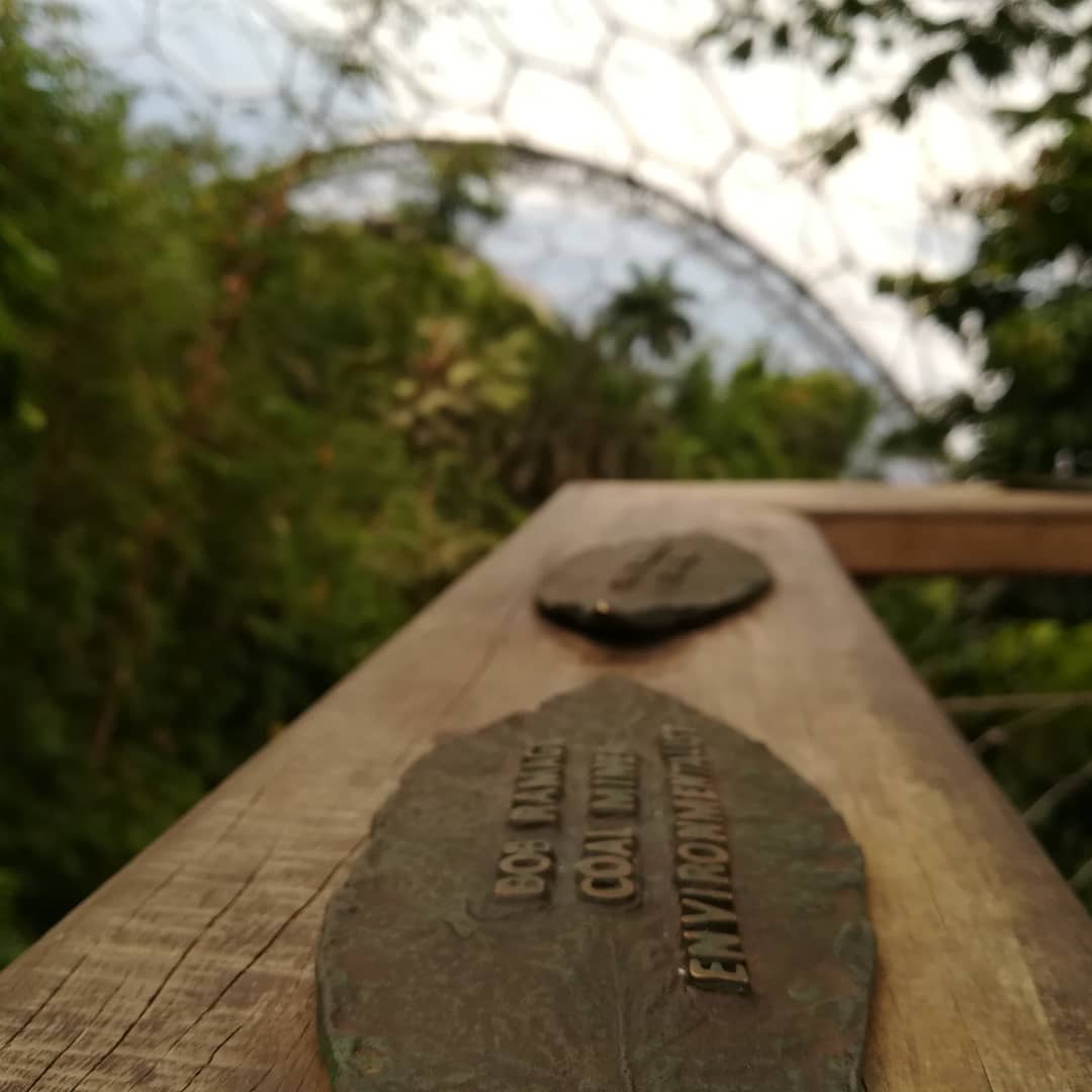 1345Callumt's tweet photo. #EdenProjectComp https://t.co/bS5uQ29iX4