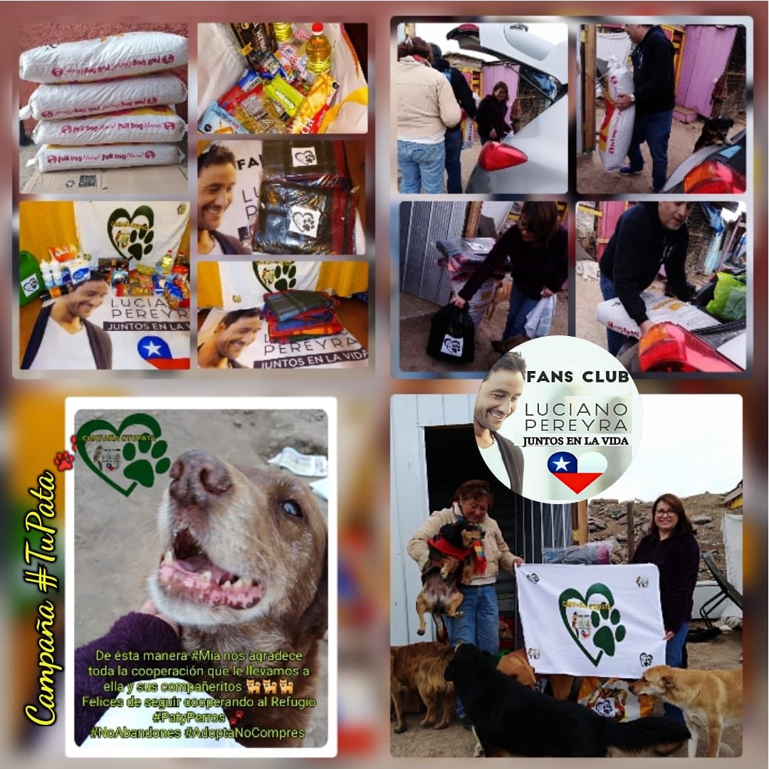 Juntosenlavida's tweet photo. Mira @LucianoPereyra, #Mia nos da las gracias por la donación que hicimos en el Refugio #PatyPerros. Estamos Felices de visitar a la #TiaPaty y sus peludos!! 🐶🐶❤️ Que el Amor y la solidaridad se contagien por todo el 🌎🙌🏼#ComparteElAmor #AdoptaNoCompres #NoAbandones https://t.co/h1PLBZjGI8