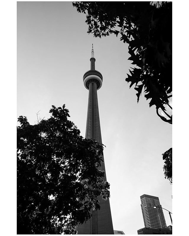 Good Morning, Toronto! Hope you have an awesome day ahead 🙏
•
•
•
•
•
#streetsoftoronto #lovetoronto #thankyoutoronto #6ixwalks #hypetoronto #imagesoftoronto #toronto_insta #toptorontophoto #torontophoto #igerstoronto #blogto #torontoclicks #narc… ift.tt/2ZiXL28