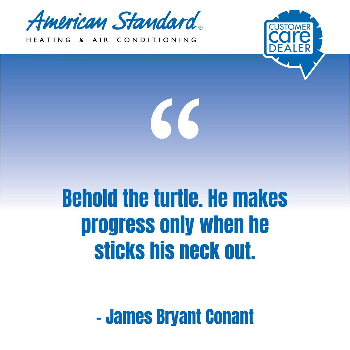 CCDealer's tweet photo. “Behold the turtle. He makes progress only when he sticks his neck out.” – James Bryant Conant https://t.co/iPqlIDd8RA