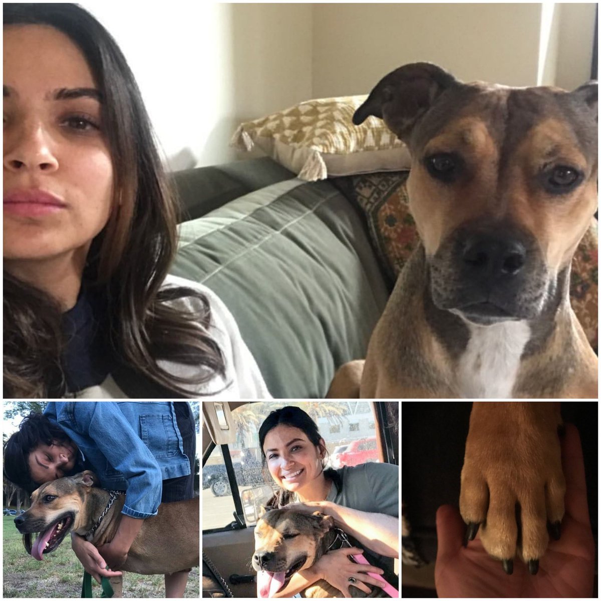FloLimaUpdates's tweet photo. Happy #InternationalDogDay to @florianalima &amp; Bella! 🐶 https://t.co/TmR8t6JyJe