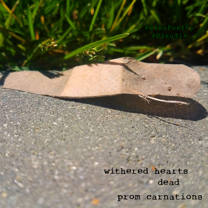 piku_poetry_314's tweet photo. π₯§
.
withered hearts
dead
prom carnations
.
#prompt #NaHaiWriMo #WitheredCarnations #withered #carnations #Piku314 #PikuVerse #BeatPoetry #Delaware #VoMoPo #JustDelmarvalous #shahai314 #haiku #haiga #senryu #shahai #piehai #BeatPoetry #WIP #poem #Pieku #PikuPoetry #BiteSizedPoems https://t.co/LJ3XOlUHKC