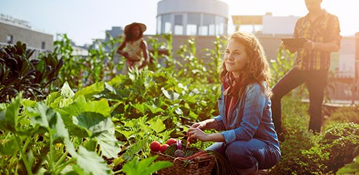 VitagoraGNS's tweet photo. [#rencontre] L’ #agricultureurbaine offre des solutions pour répondre aux attentes des #consommateurs en matière de #locavorisme, d’origine des #produits et de #traçabilité. Pour découvrir les #opportunités pour les #pro de l’#IAA rdv le 26/09 @AggloMVS https://t.co/ySX56Dfqam https://t.co/XNSRlqNWLr