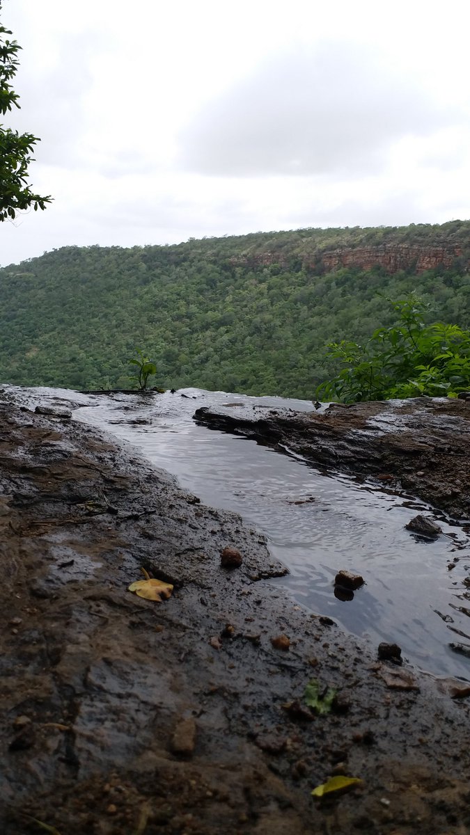 Umamaheshwaram Hashtag On Twitter - 