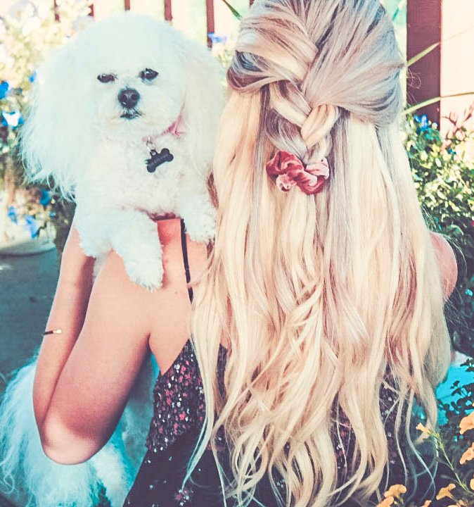 TimCarliHair's tweet photo. It’s D-DAY! 🐾 Happy #InternationalDogDay🐶! Retweet if you're a #furmama.💗 Tinkerbell and her hooman, Kaydee is stylin together - #hairgoals. Kaydee is wearing 20” Platinum Blonde @TimCarliHair. #dogday #mypet #poodle https://t.co/94O6fnvcWq
