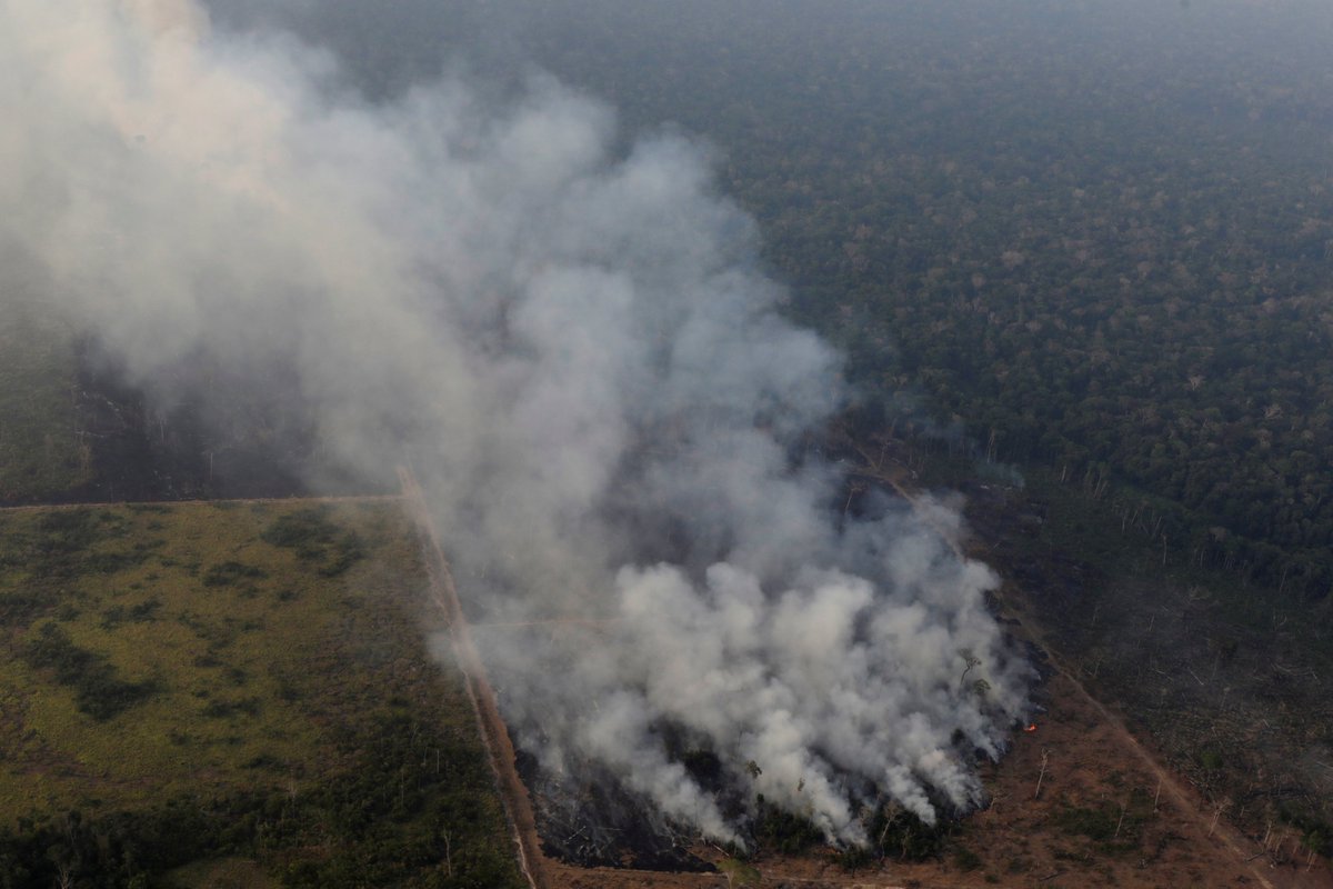 ajplus's tweet photo. Leonardo DiCaprio launched a $5M fund to help fight fires in the Amazon. The money is being sent directly to local groups and Indigenous communities, whose lands are where many of the fires are located. https://t.co/bxNWacnCki