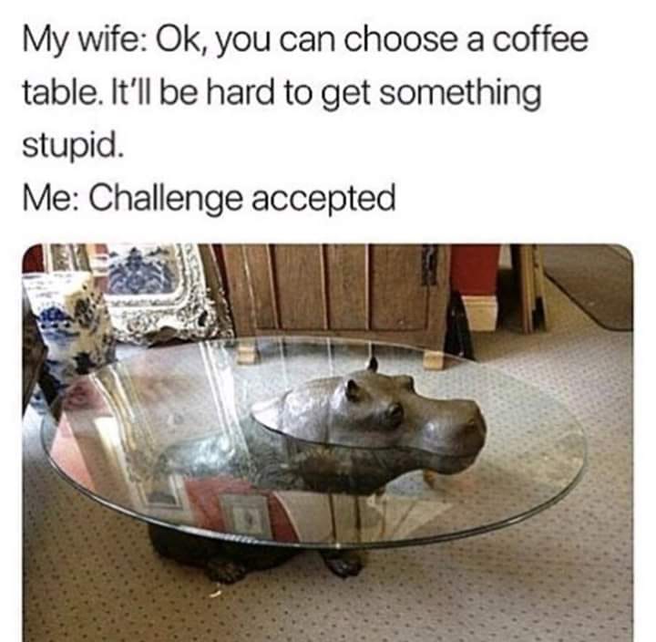 Stupid? WoOOooOt? 🤪