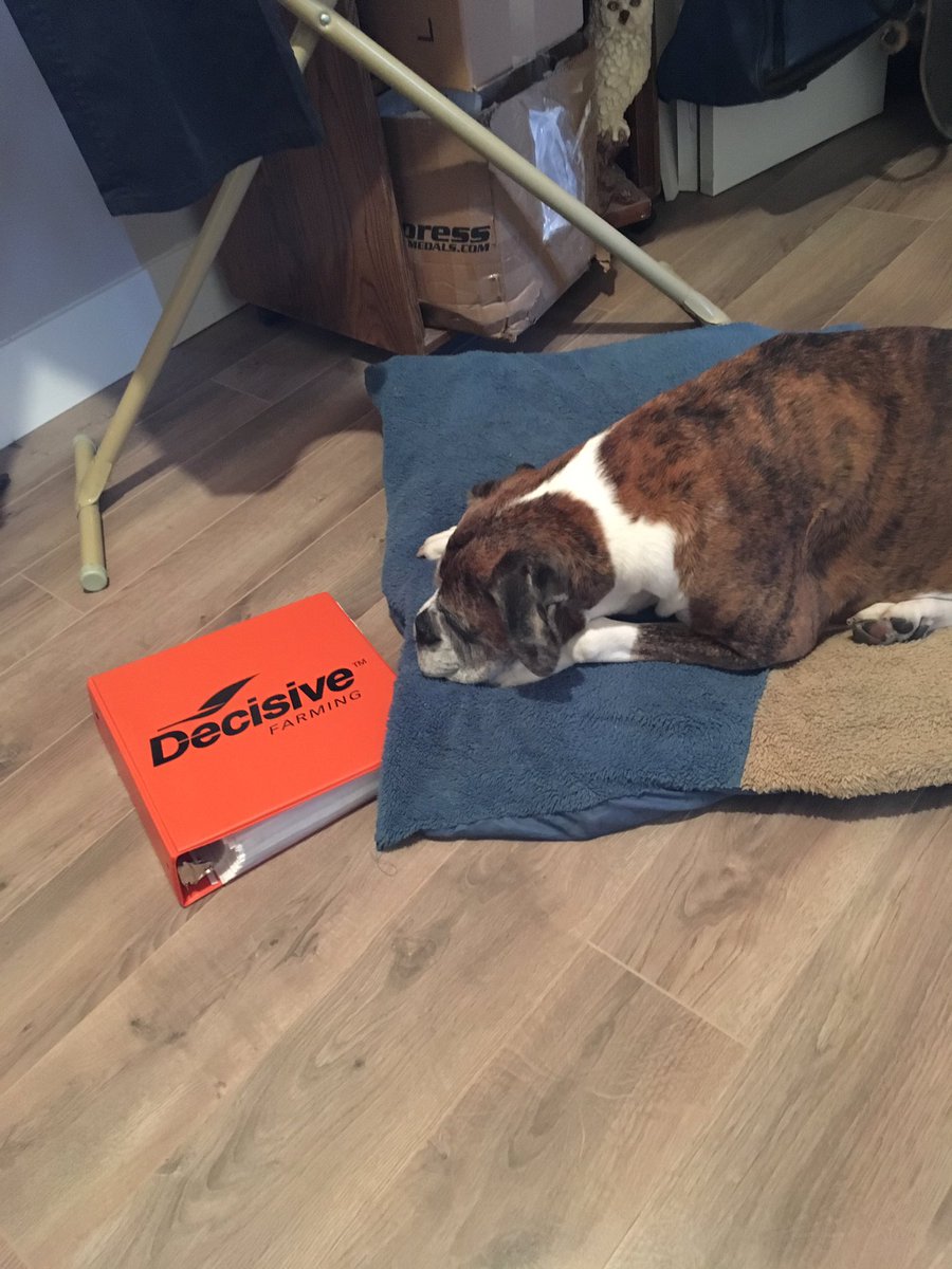decisiveshawnf's tweet photo. Well, she’s no #farmdog, but she does love #decisivefarming. https://t.co/0JXeNcWIgW