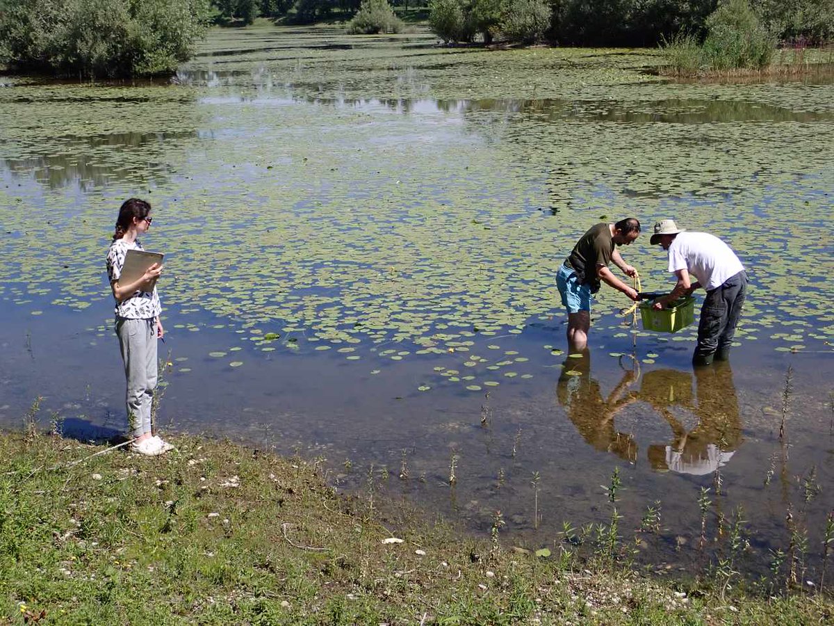 Armin Mesic, PhD 🇭🇷 🍄 tweet media