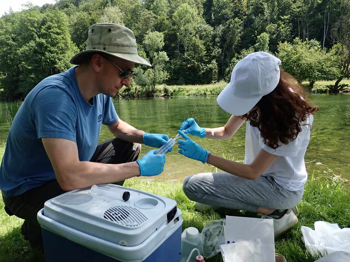 Armin Mesic, PhD 🇭🇷 🍄 tweet media