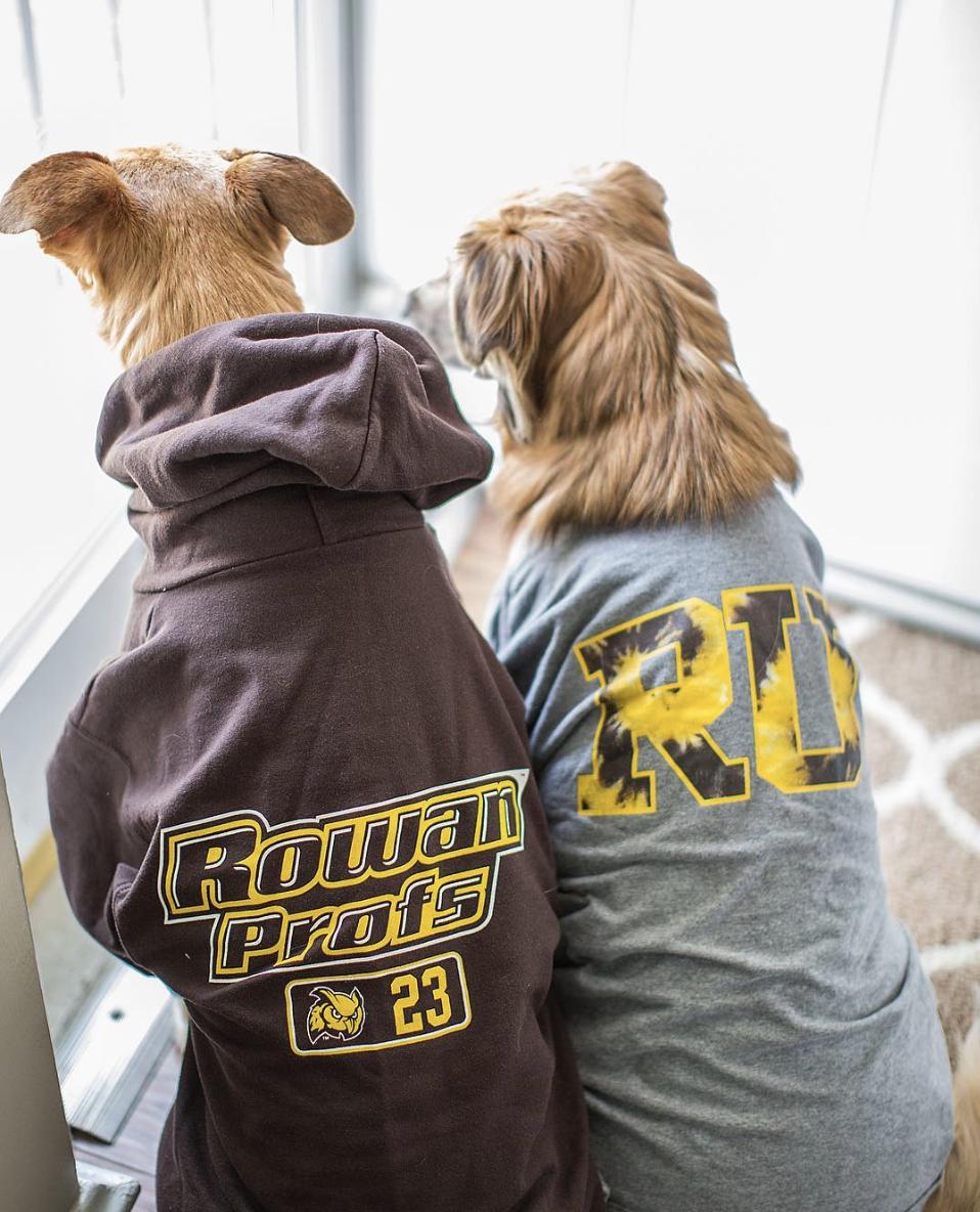RowanRCB's tweet photo. Today is National Dog Day! Post a picture of your favorite dog in Rowan Gear. #NationalDogDay #welovedogs #RowanProud #ProfPups Thank you to @chesterthebeast, @rdenora and @sheaskis for the photos! https://t.co/qppFZTulum