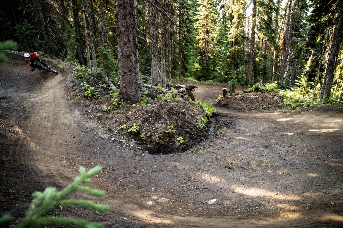 SilverStar Bike Park tweet media