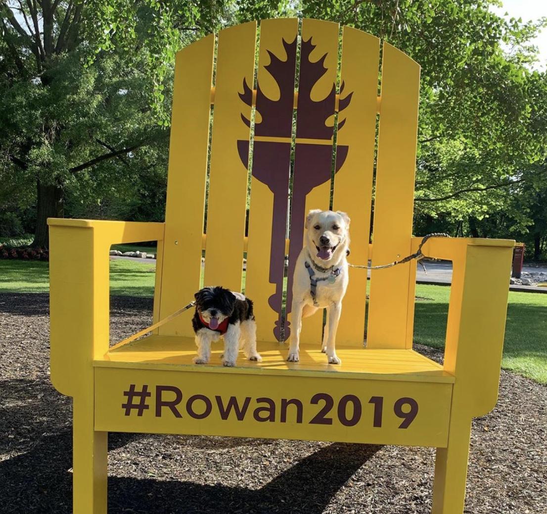 RowanRCB's tweet photo. Today is National Dog Day! Post a picture of your favorite dog in Rowan Gear. #NationalDogDay #welovedogs #RowanProud #ProfPups Thank you to @chesterthebeast, @rdenora and @sheaskis for the photos! https://t.co/qppFZTulum