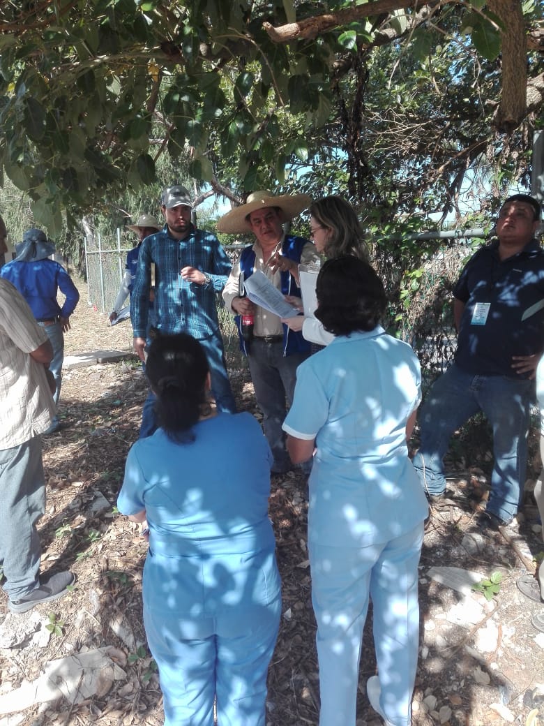 FTAtlantida's tweet photo. ¡Fue una buena jornada de visita de campo con miembros del Hospital Atlántida, @Idecoas_hn, ingenieros del @CIMEQH y de la @CCIA_0101 para comenzar a verificar especificaciones técnicas de los proyectos de tratamiento de aguas residuales y reforzamientos del bajo voltaje! https://t.co/4pFtBdHpfZ