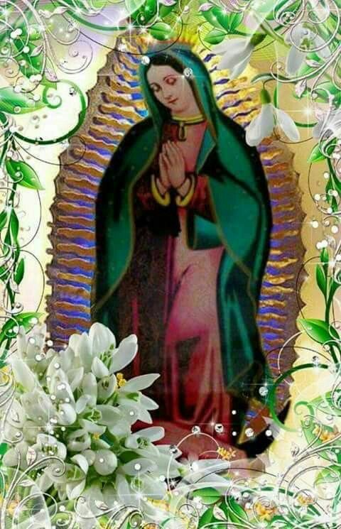 Courtney93HallK's tweet photo. Bendecida Lunes dia mi Querida🙌🙏😇😘Veronica😘y toda tu familia @vrocastroficial FR🙏❤🙏Senor Jesus !Doy gracias por tus regalos y bendiciones 💭cada minuto💭en el nombre del Jesus!Ave Maria!DTBS🙏❤🙏mucha paz🙏bondad🙏bienestar🙏prosperidad🙏luz🙏en tu casa! https://t.co/rlsPxcFmjX