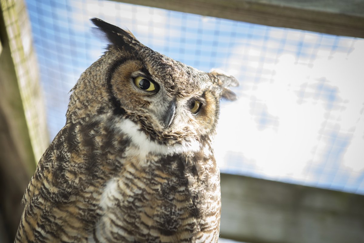 🍒🦉 Remember owls...it's sylly week. Happy 1st day of school!
#MondayMotivaton