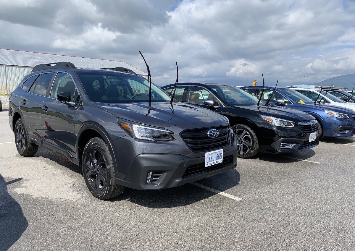 VehicleDG's tweet photo. Arrival of the #2020Outback and #2020Legacy here on West Coast for our next leg of cross Canada sales training. Weโre leaning into that new car smell and ready to get our learn on! https://t.co/oko98pALX0