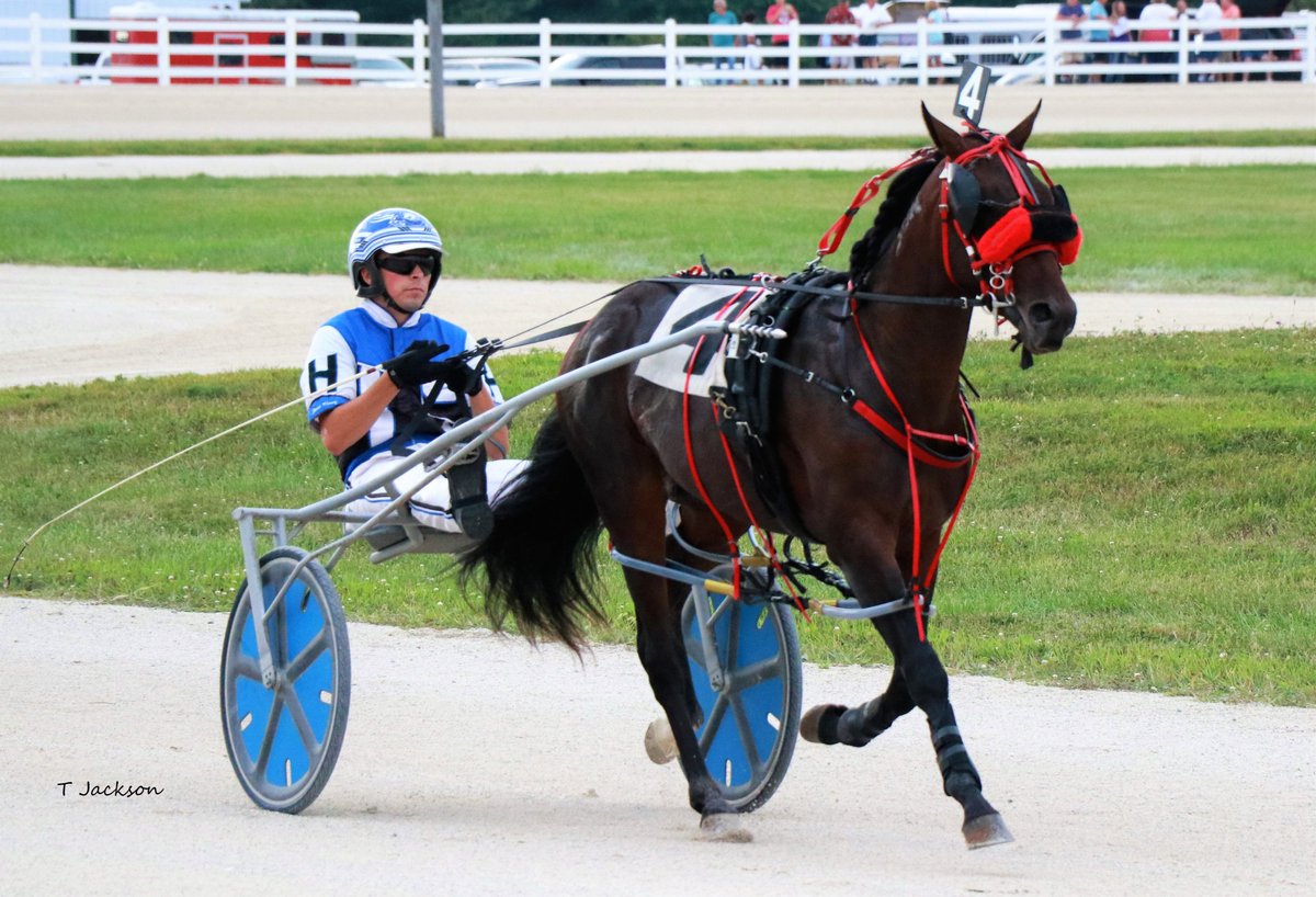 hoosiernations's tweet photo. GoodMorning finally! @RustyVorhees @JaymeLaing @____CharlieB @tonidale_ @jmelanie17 @JessicaOtten1 @Chris_wponies @JoannKi32885615 @rebelsart @jtlburn @kimberlymoier @GlenPeckinpaugh @KathleenBaitzel @vnssa926 @joe_norte @elliotgordon2 @SadandSulk #Kawhi #PierceHenry #FairLife https://t.co/3J1c9JBwDO