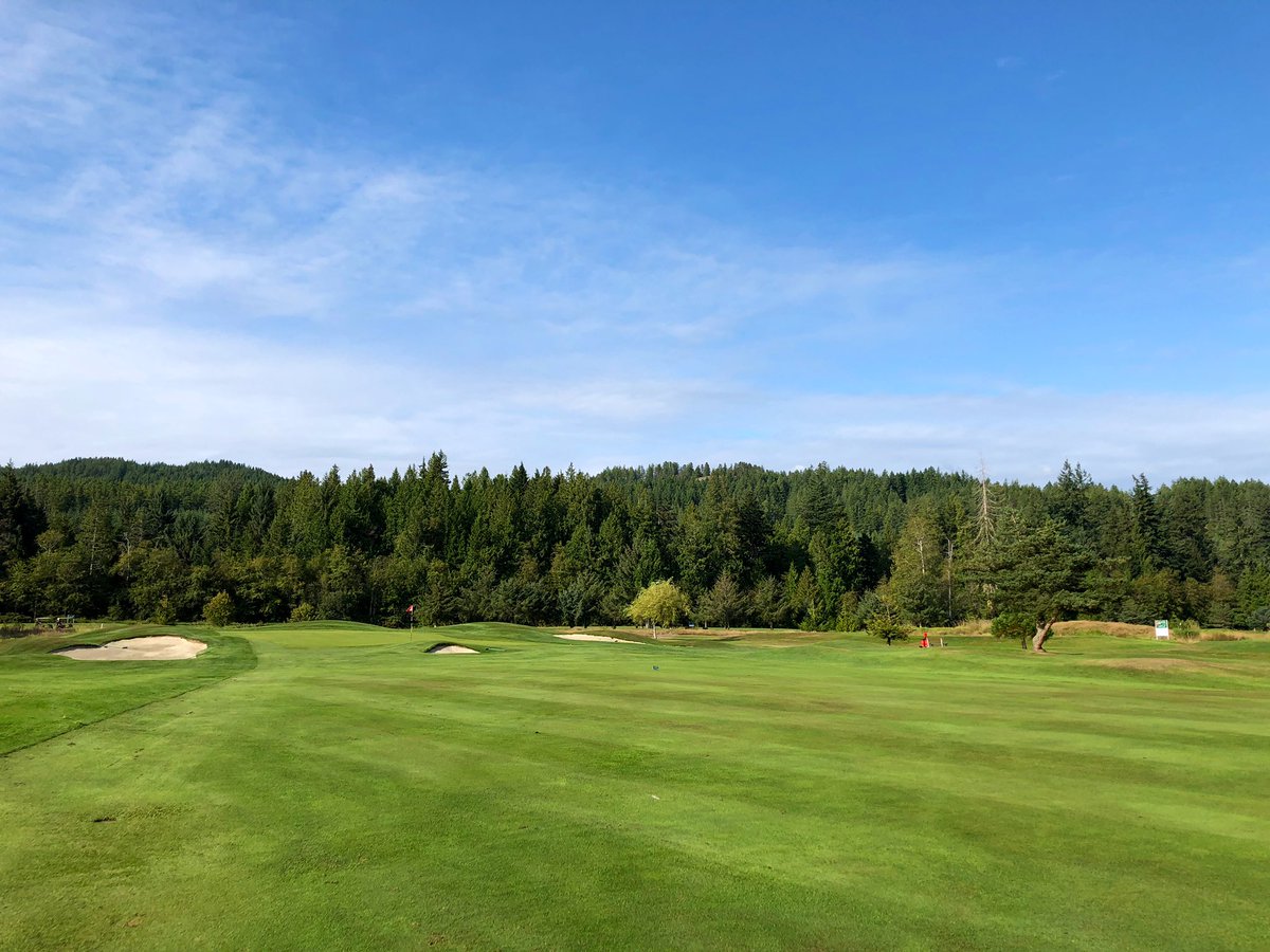 Josh Legge tweet media