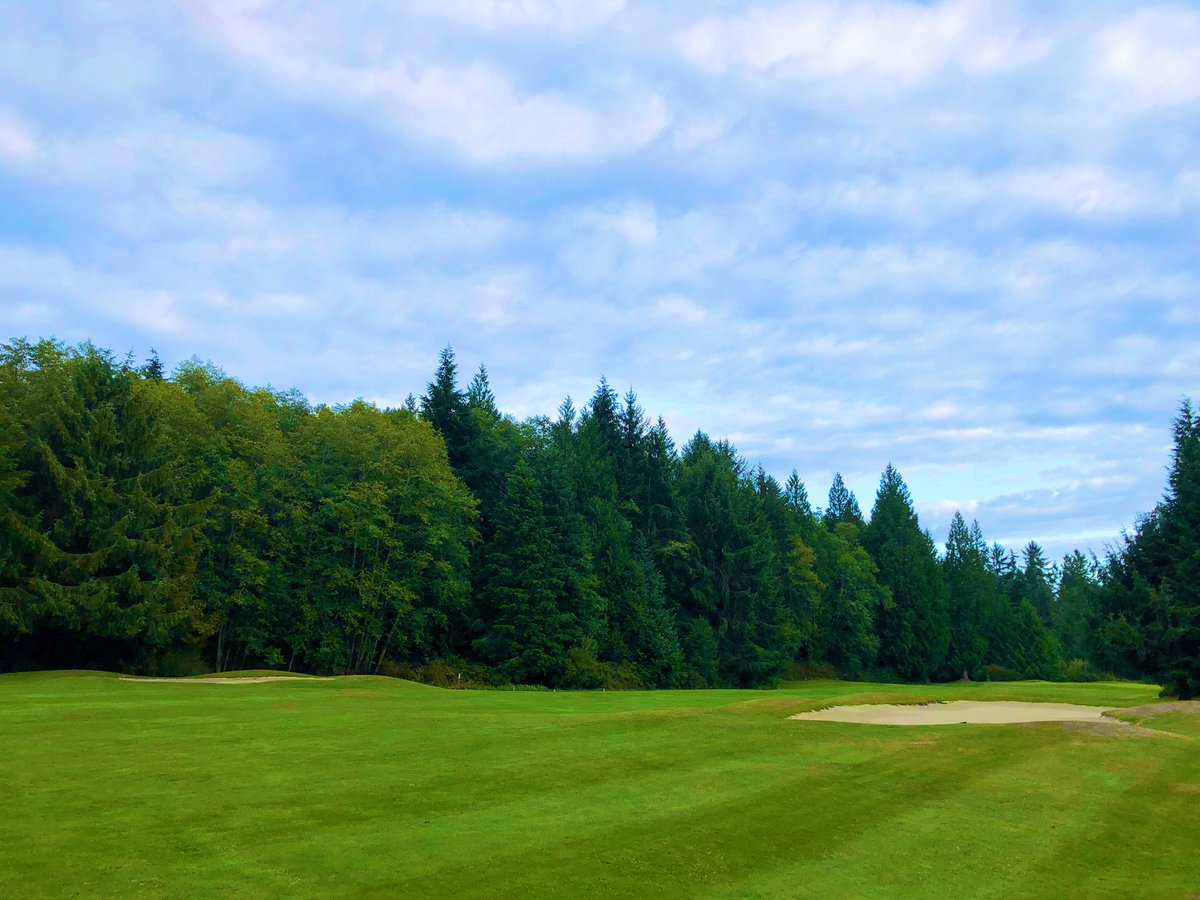 Josh Legge tweet media