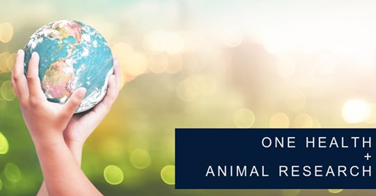 KentScientific's tweet image. The "One Health" initiative, which is used by the @CDCgov to fight disease and protect public health, is so important to the field of animal laboratory science that it will be a major focus of the @AALASnational Meeting this October. ow.ly/jvD550vJRXh #KentConnects