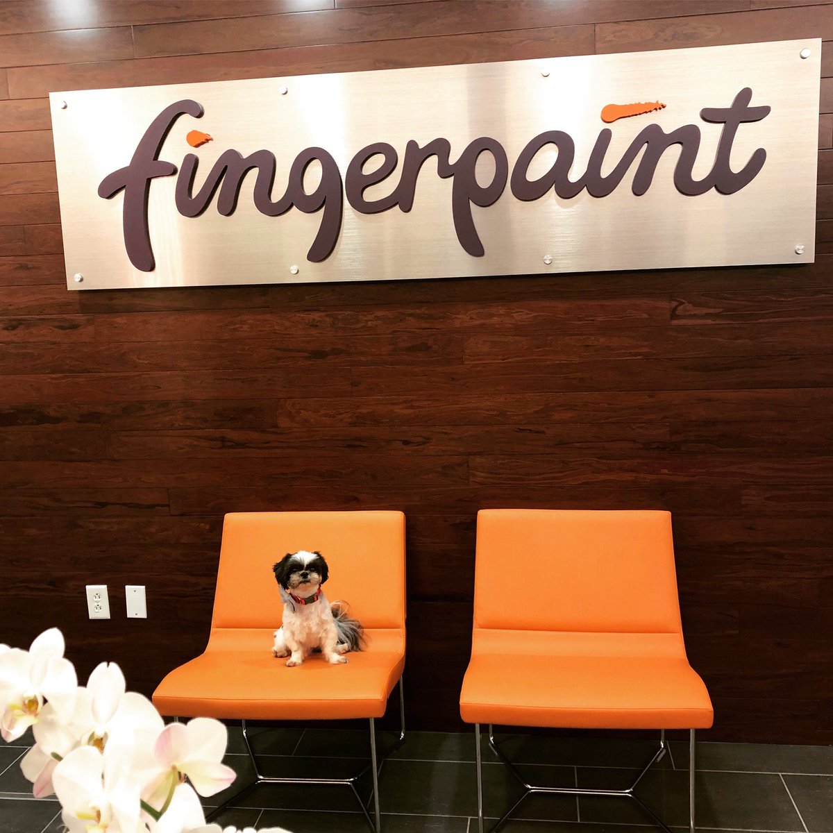 FingerpaintGrp's tweet photo. When you have #dogfriendly offices, every day is #NationalDogDay.
#agencydogs #officedogs https://t.co/zkvSR3lLag