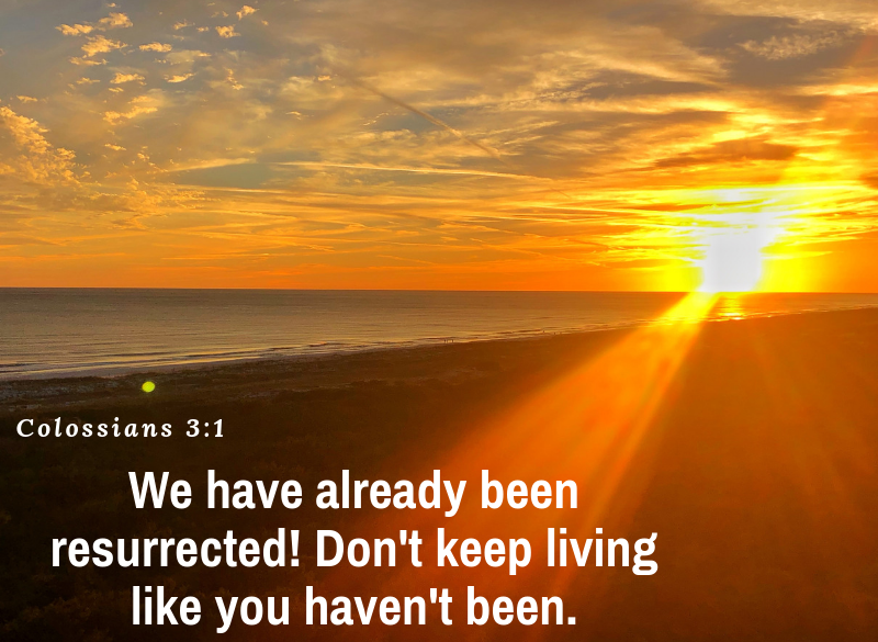 LaineLawsonCrft's tweet photo. We have already been resurrected! Don't keep living like you haven't been.
Colossians 3:1
#LivinLively #LivinLivelywithLaine #StartAgainfromScratch #WHOAwomen #Godisgood #Godlovesus https://t.co/w3y0HgPZ7Y