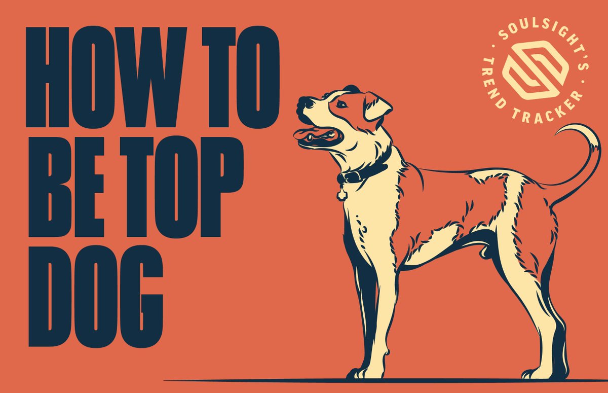 Soulsight's tweet photo. In honor of #NationalDogDay, #Soulsight's Trend Tracker Amanda Sestak outlines how your brand can be top dog: https://t.co/5AuLCJBIvB #brandstrategy #branding #strategy https://t.co/Og6Hd7SAzr