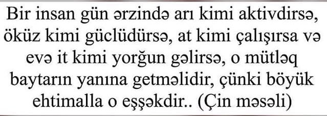 onlysami13's tweet photo. @Al1yeva Bunu niyə bura atdım bilmirəm https://t.co/VFnpcOeCl8