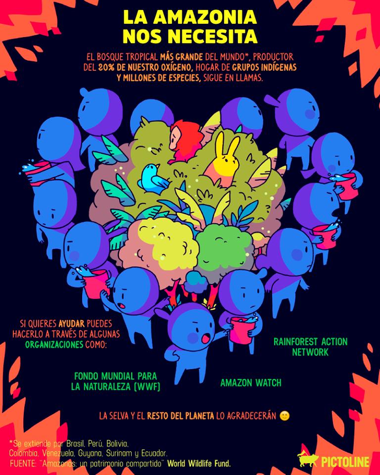 citmalahabana's tweet image. #SalvemosLaAmazonia #AmazonasSOS #CitmaHabana #MedioAmbiente #amazonasenllamas