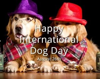 Avms_unibadan's tweet photo. The #TitansAmongPets
Celebrating the four-legged fury friends🐶🐕 that help us in so many ways.
Happy International Dog Day!💥🐶🎊🎉
#August26
#InternationalDogDay #TitansAmongPets #DogShow2019
#Anticipate https://t.co/d7oaFCE66Z