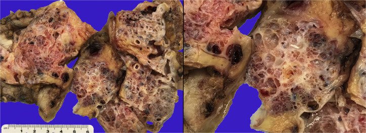 Katie Hagen, MD tweet media