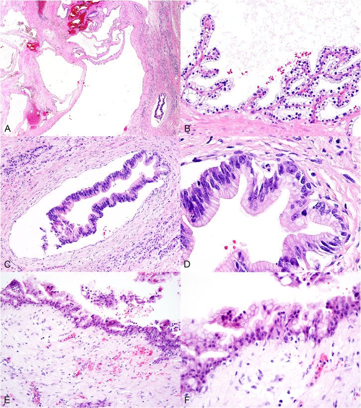 Katie Hagen, MD tweet media