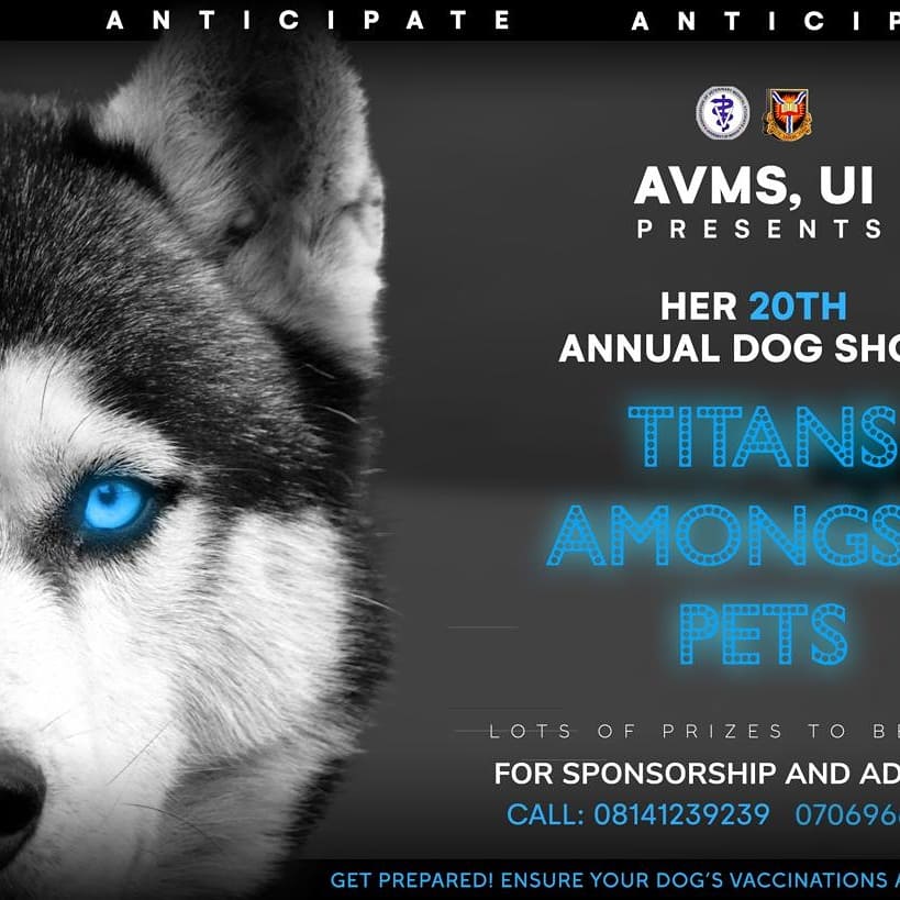 Avms_unibadan's tweet photo. The #TitansAmongPets
Celebrating the four-legged fury friends🐶🐕 that help us in so many ways.
Happy International Dog Day!💥🐶🎊🎉
#August26
#InternationalDogDay #TitansAmongPets #DogShow2019
#Anticipate https://t.co/d7oaFCE66Z