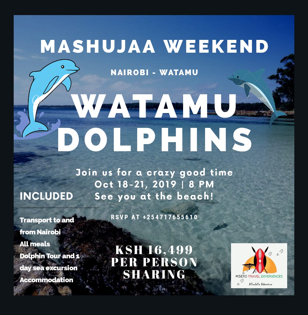 MsetoTravel's tweet photo. Have you booked this bus trip to Watamu happening during the Mashujaa Weekend? https://t.co/hjdP5eoRoy