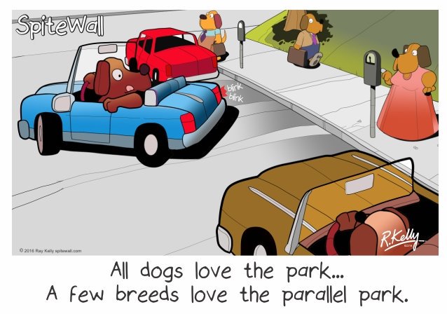 spitewall's tweet image. #nationaldogday #parallelpark #Dogpark