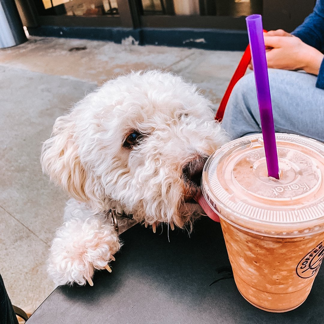 The Coffee Bean tweet media