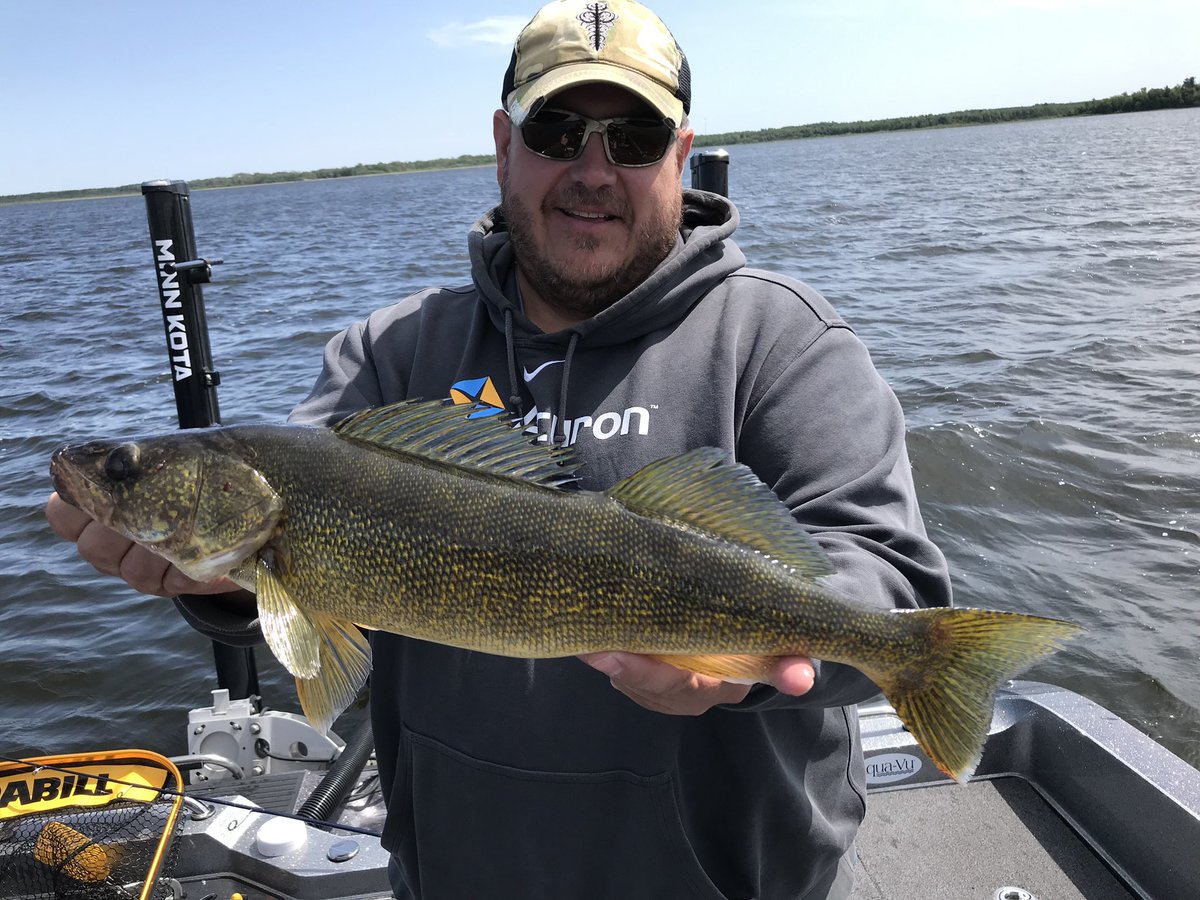 brobull's tweet photo. Thx Dan & Krew Bππ£ #BrosGuideService #OnlyinMN #August #Fishing #Fun #mondaymotivations #WalleyeOn π£ https://t.co/JBTYg9f521