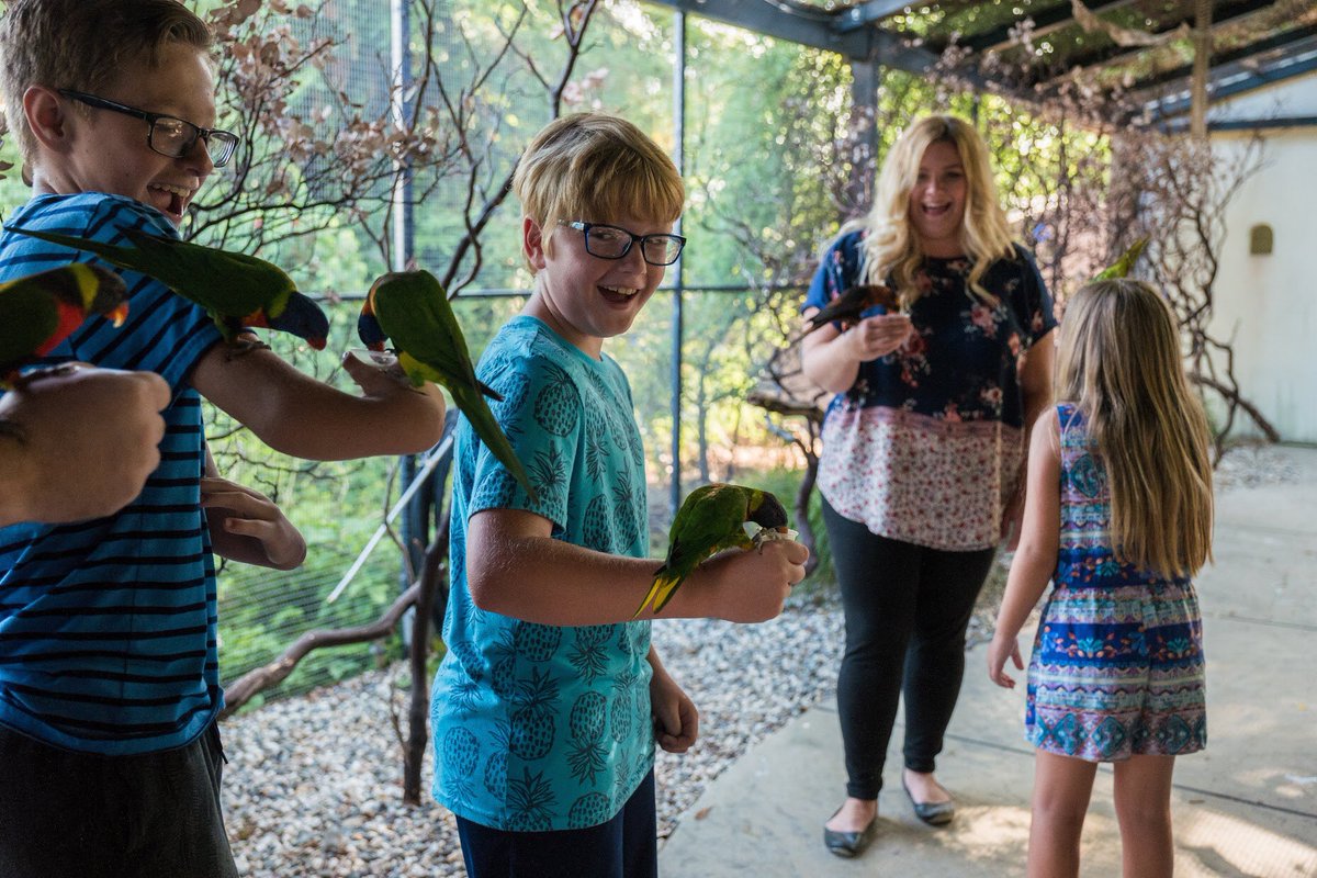 Visit Turtle Bay’s #Parrot Playhouse 🦜 on your next trip to the Park! This walk through interactive aviary is filled with #lorikeets of every color & for just $1 you can feed them with nectar cups by hand. Access is included with paid Park admission and always FREE for members!