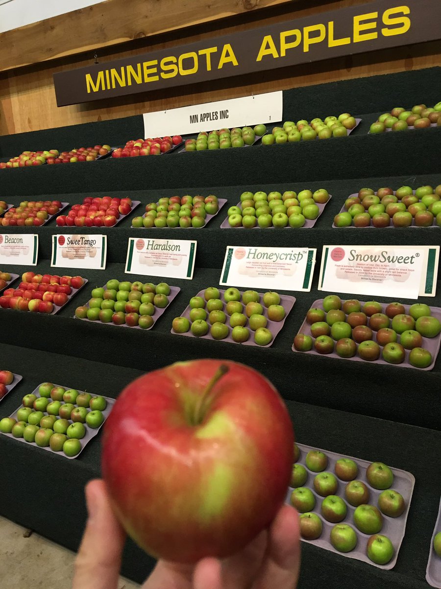 Minnesota invented a new apple and now it’s mine all mine!!