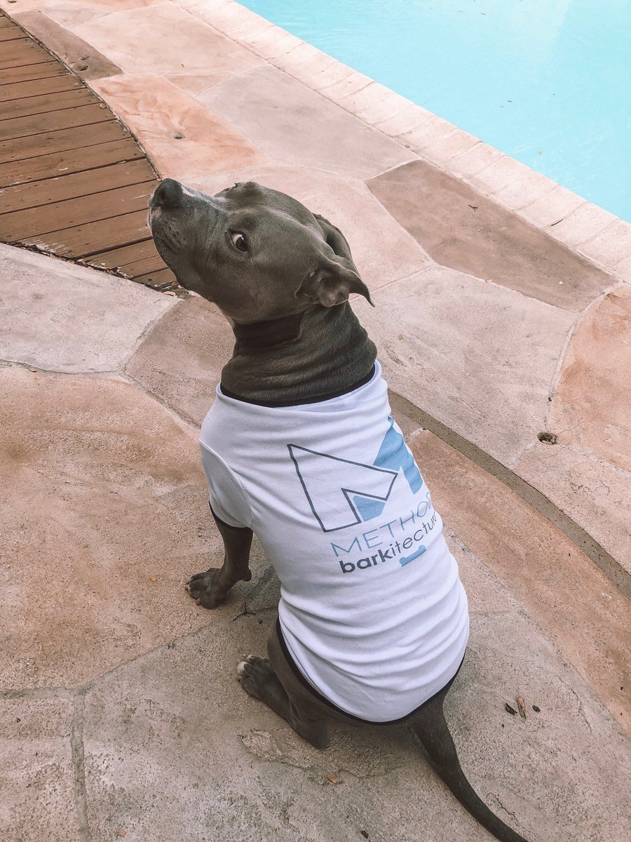 method_arch's tweet photo. Happy #InternationalDogDay from #TeamMethod's pups! #MethodBarkitecture 🐶 🐾 https://t.co/bEuDGiIhmD