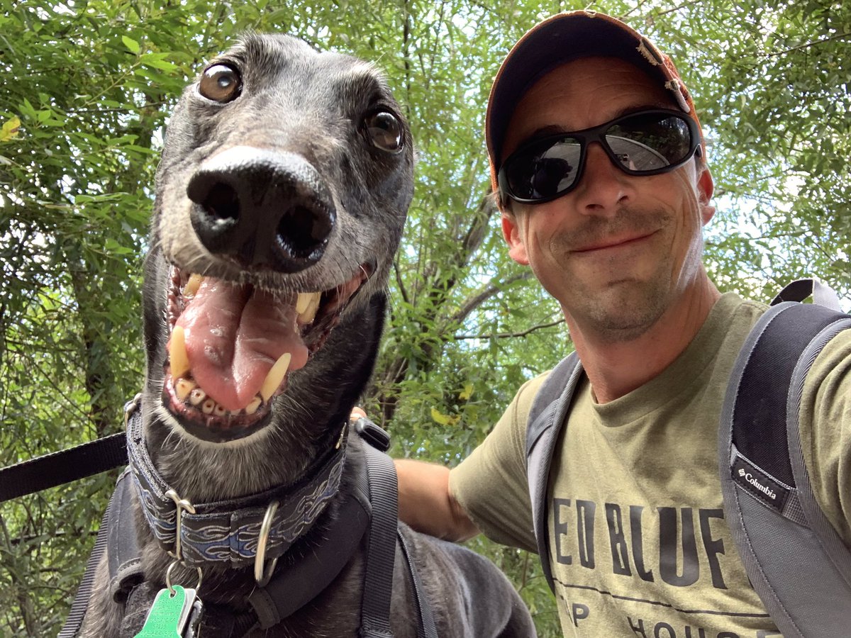 This is Seth. He's a good boy.  #NationalDogDay