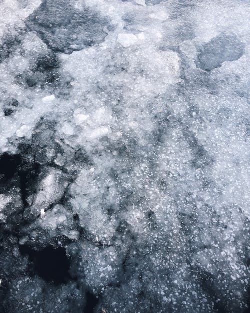 day_yard's tweet photo. Don't Fall For A Late Freeze Read How We Protect Our Garden: https://t.co/BB1aOOS3nl #Plants #Grow #Planting #Landscaping https://t.co/FZ67FG44bF